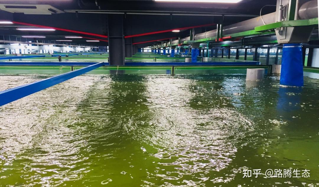 将污水截流并纳入管内