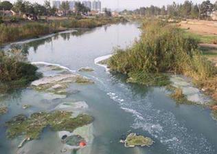 将环境治理与经济效益有机结合