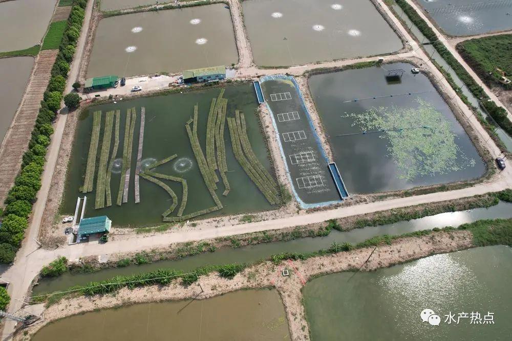 涠洲岛农业农村局工作人员回复记者称