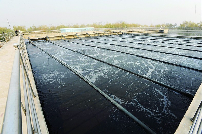 以“高回报率”为诱饵