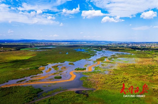 将共同推进相关技术研发与示范应用