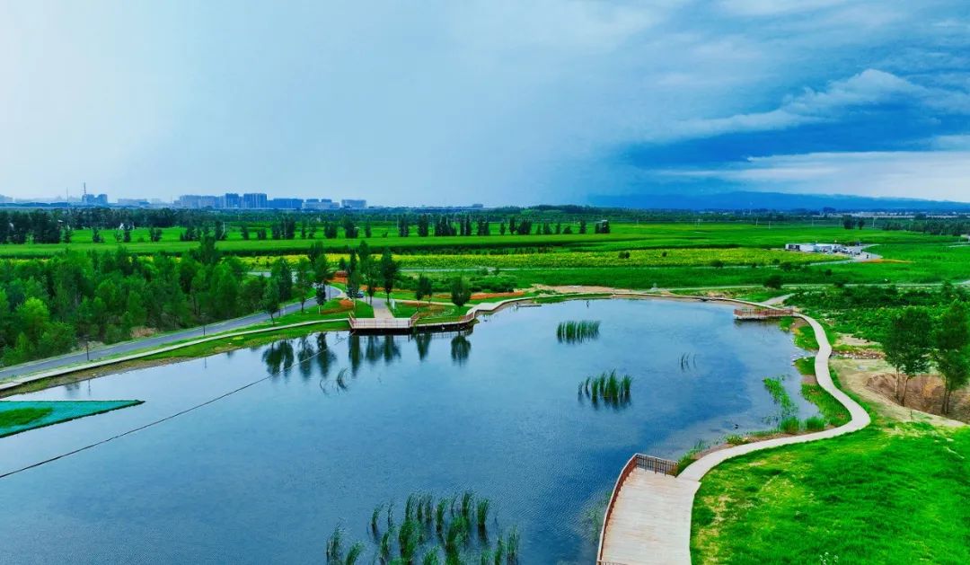 3.市场表现：公司与百余家单位合作