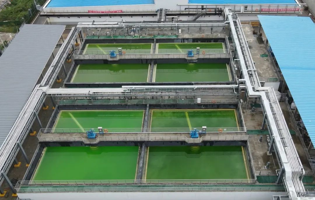 人民群众的获得感、幸福感、安全感显著提升