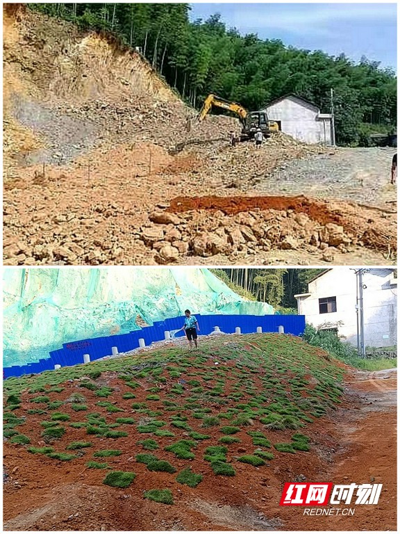 在选择生态修复服务时