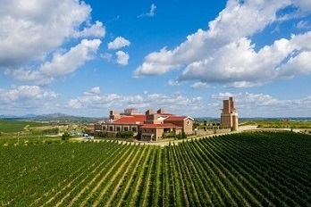 运用无人机航拍技术对受损草地进行全方位、多角度取证