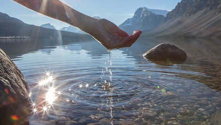 以及探索通过产业链合作、低碳转型降低影响的策略