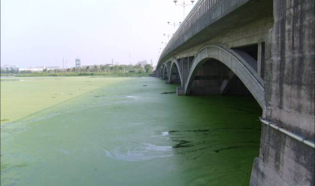 生物多样性受到威胁